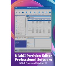 Керування розділами дисків - NIUBI Partition Editor Professional Edition, 1 ПК, безстрокова ліцензія 