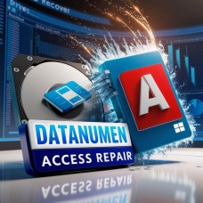 DataNumen Access Repair – Відновлення баз даних, безтермінова ліцензія, 1 ПК